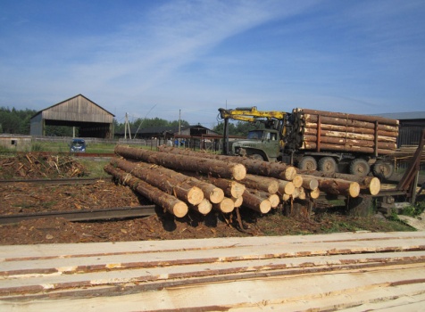 Закупка леса на пилораму