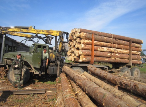 Закупка леса на пилораму