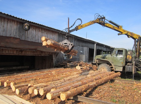Закупка леса на пилораму