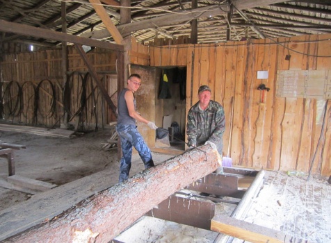 Распиловка леса на производстве